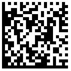 Data Matrix Barcode 2