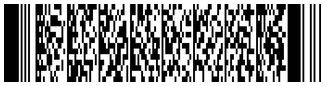 PDF417 Barcode